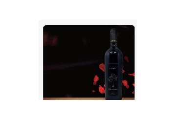 广东东莞市国瑞酒业有限公司