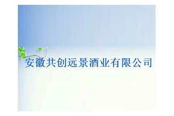 安徽共创远景控股有限公司