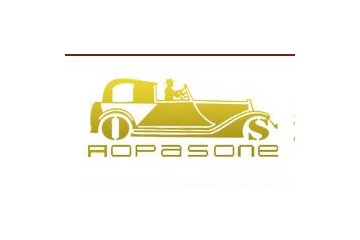 安徽奥帕斯国际贸易有限公司