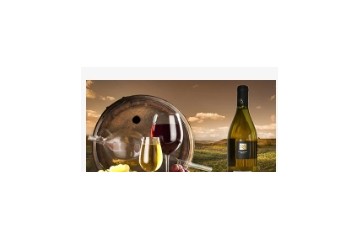 广西南宁市帝醇贸易有限公司