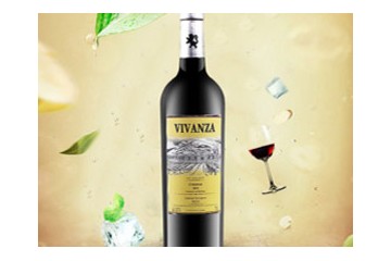 合肥葡源贸易有限公司