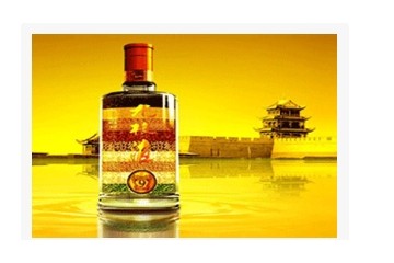 甘肃九粮液品牌营销有限公司