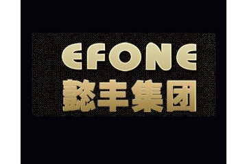 宁夏懿丰投资控股集团有限公司