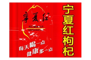 宁夏红枸杞产业集团有限公司