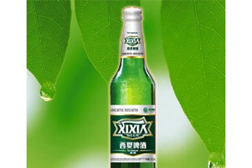 宁夏西夏嘉酿啤酒有限公司