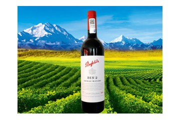 郑州奔富实业有限公司