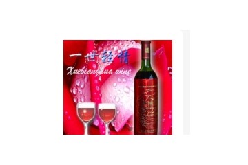 通化市雪冰花葡萄酒有限公司