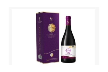 吉林铁马童话健康产业有限公司