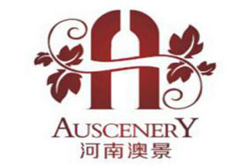 河南澳景贸易有限公司