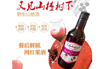 河南宝泉酒业有限公司