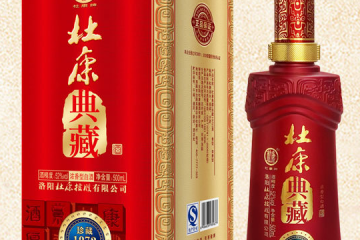 洛阳杜康控股有限公司