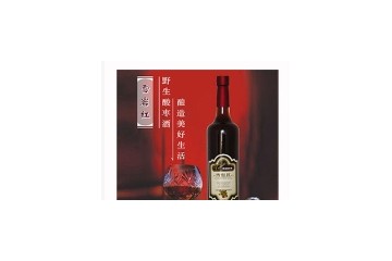 宁夏雪岩红野生果酒有限公司