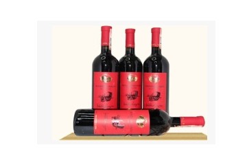 新疆恩科鑫贸易有限公司