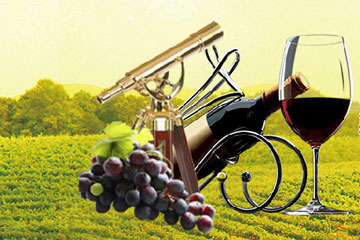 烟台斯卡宾酒业有限公司