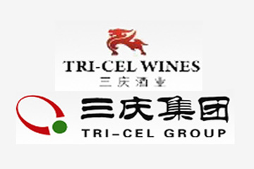 济南唐昊商贸有限公司