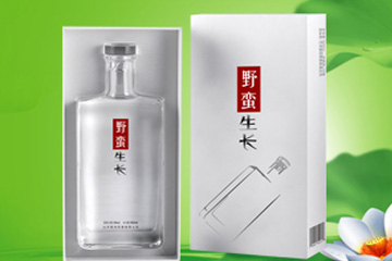 山东盟创品牌运营有限公司