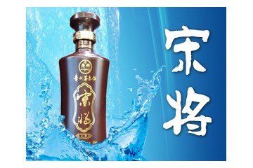 贵州宋将酒业有限公司