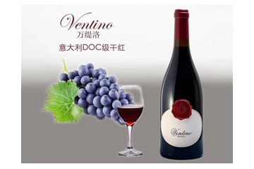 广州龙船贸易有限公司