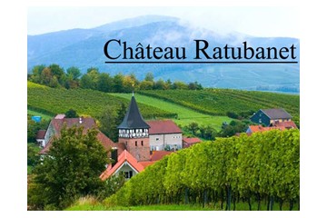 佛山市拉图百纳贸易有限公司