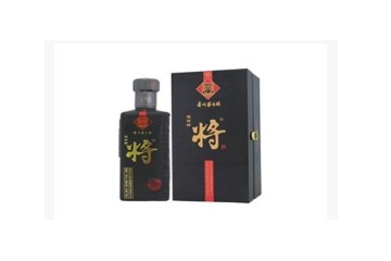 贵州黔宾酒业有限责任公司