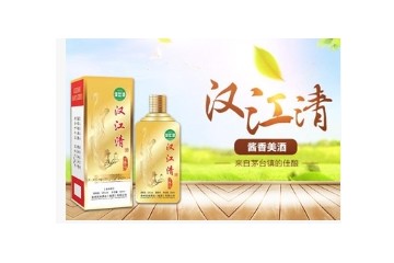 深圳市汉江清网络科技有限公司