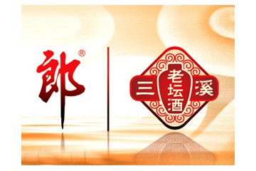 四川三溪集团有限公司