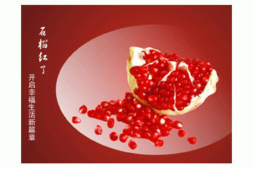 上海绿联金色实业有限公司