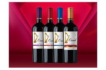 上海冕健实业有限公司