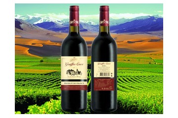 甘斐（上海）国际贸易有限公司