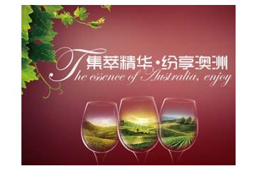 上海胤星国际贸易有限公司