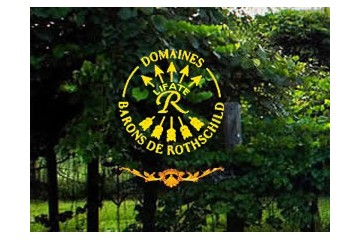 北京特隆图国际商贸有限责任公司