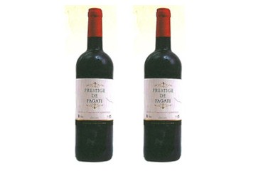 天津市涛涛供应链管理有限公司