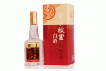 山东曾子故里酒业有限公司