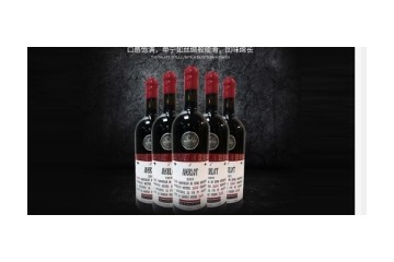 成都丝路众友电子商务有限责任公司