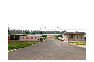 山东燕塔酒业有限公司