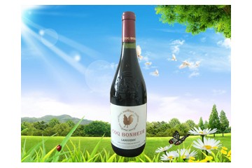 北京拉阁国际贸易有限公司