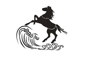 上海艾拉克国际贸易有限公司