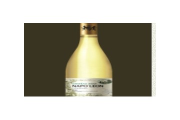 中法合营昌黎拿破仑城堡酿酒有限公司