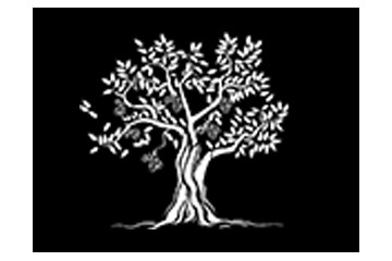 山东椹树下生物科技有限公司