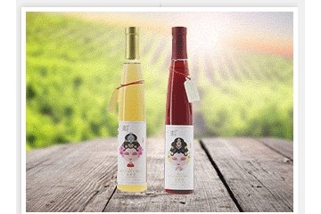 陕西九润蜂业有限公司