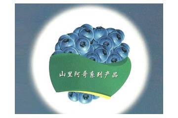 山东山里阿哥农业科技有限公司