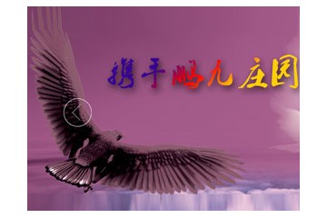 烟台鹏九国际贸易有限公司