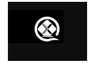 上海鑫擎国际贸易有限公司