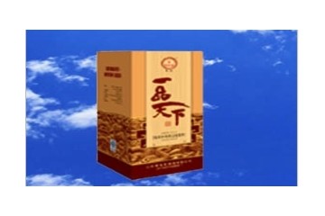 山东宋城酒业有限公司