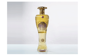 山西振东五和医养堂股份有限公司