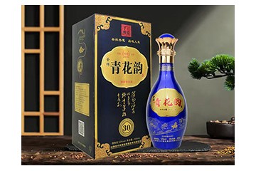 山西杏花村酒业集团控股有限公司