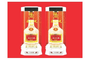 中信大有城市建设（河南）集团有限公司