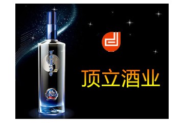 天津顶立集团有限公司