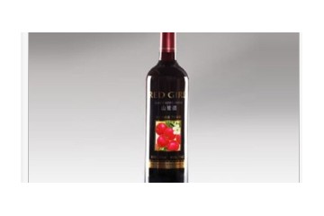  吉林红姑娘实业有限公司