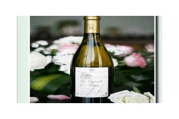 温州卡奥尔贸易有限公司